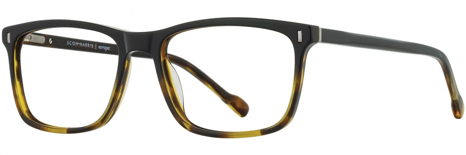 Scott Harris SH796 Eyeglasses - view 12